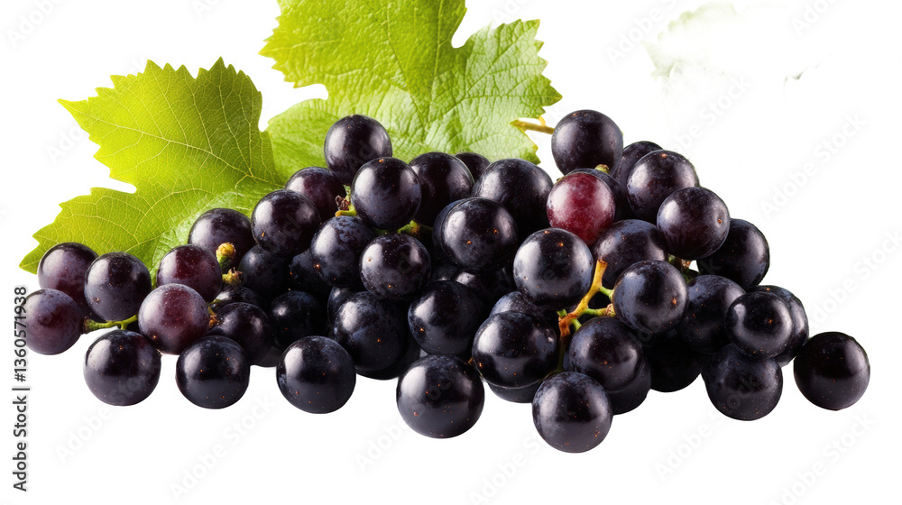 Fototapeta premium Fresh Dark Purple Grapes with Leaves