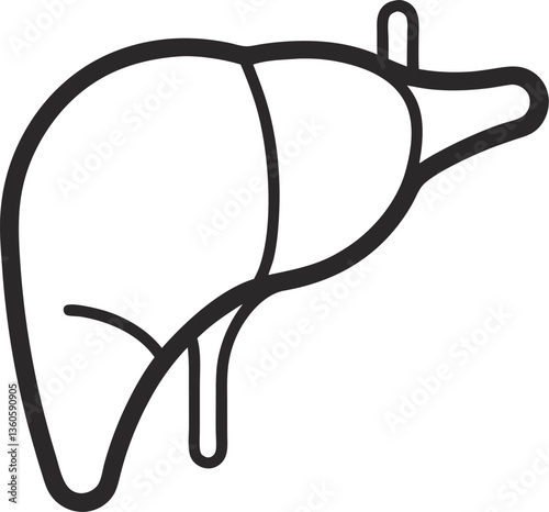 Liver outline icon on white background