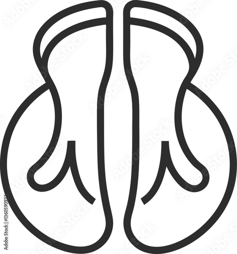 Lungs outline icon on white background