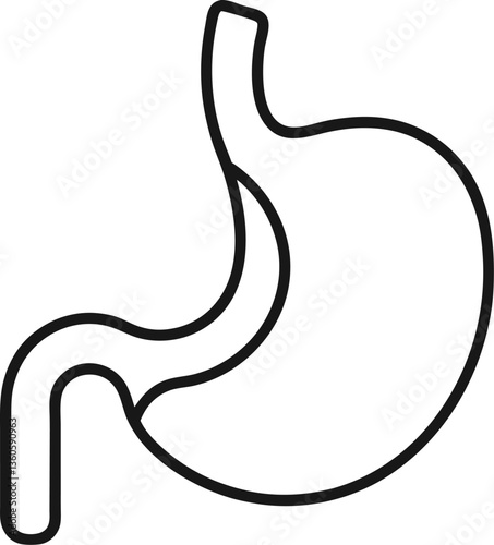 Stomach outline icon on white background