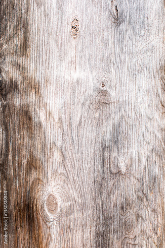 Textured wood exterior wall
