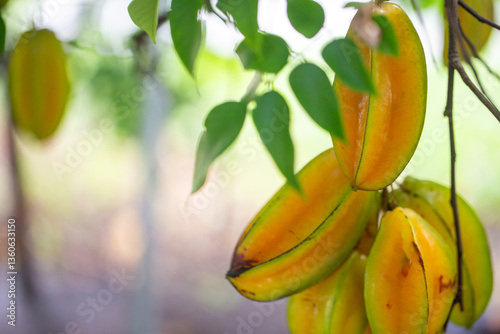 Fototapeta Naklejka Na Ścianę i Meble -  Fresh ripe star fruits
