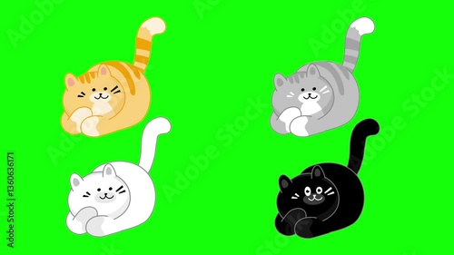 Green screen cat. A set of four cute cartoon cats lying down in multicolor style. Front view. Chroma key. 4K. Seamless loop. Perfect for Children’s content and pet care advertisements.