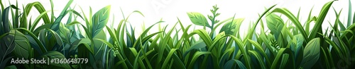 Lush Green Grass and Plants Border Illustration Against White Background