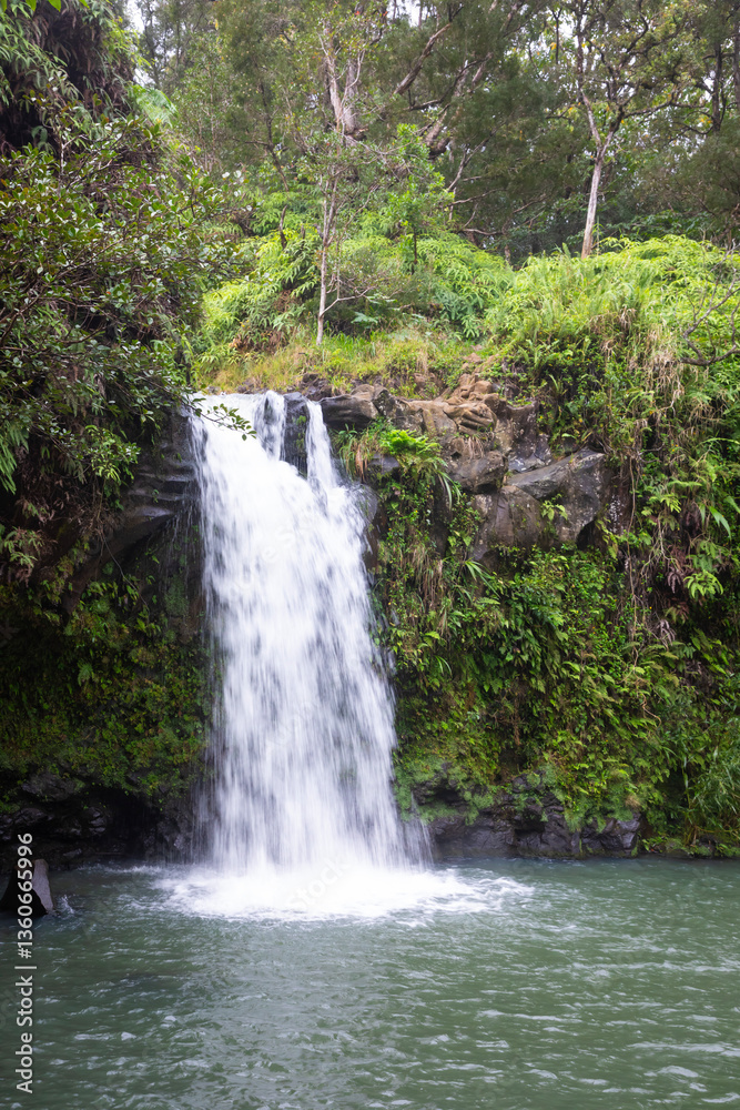 Obraz premium waterfall in the woods, vertical