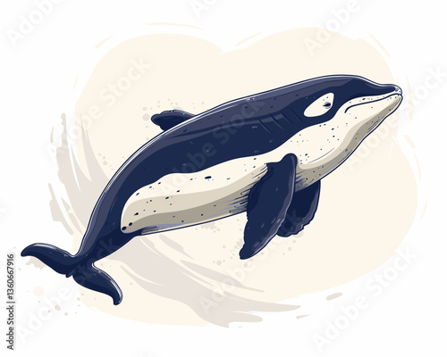 killer whale vector illustration on the theme of marine animals in a flat style