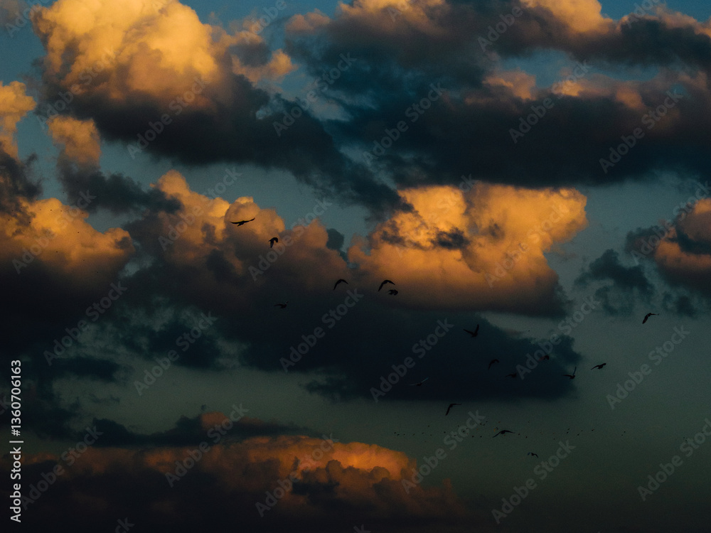 Fototapeta premium sunset over the clouds