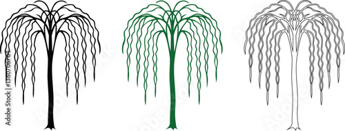 willow tree silhouette color vector with long, flowing drooping branches. Perfect for nature, landscape, and decorative designs.