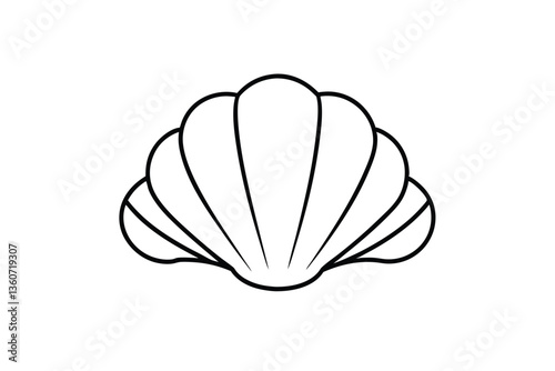 seashell vector illustration