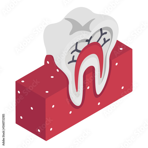 Teeth with pulp visible blood Vessels isometric concept, The Anatomy of a Tooth vector icon design, Dentures symbol,Oral Healthcare sign, Dental instrument illustration