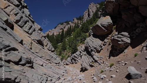 Majestic rocky canyon with clear sky and lush greenery under the bright sun