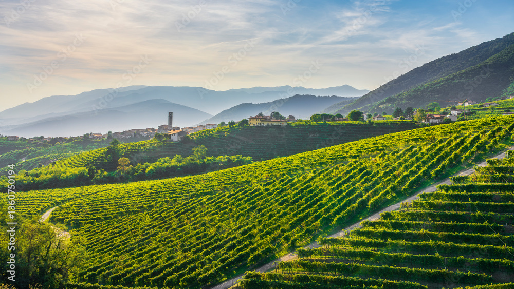 Fototapeta premium Prosecco Hills, vineyards and San Pietro di Barbozza village. Valdobbiadene, Veneto, Italy