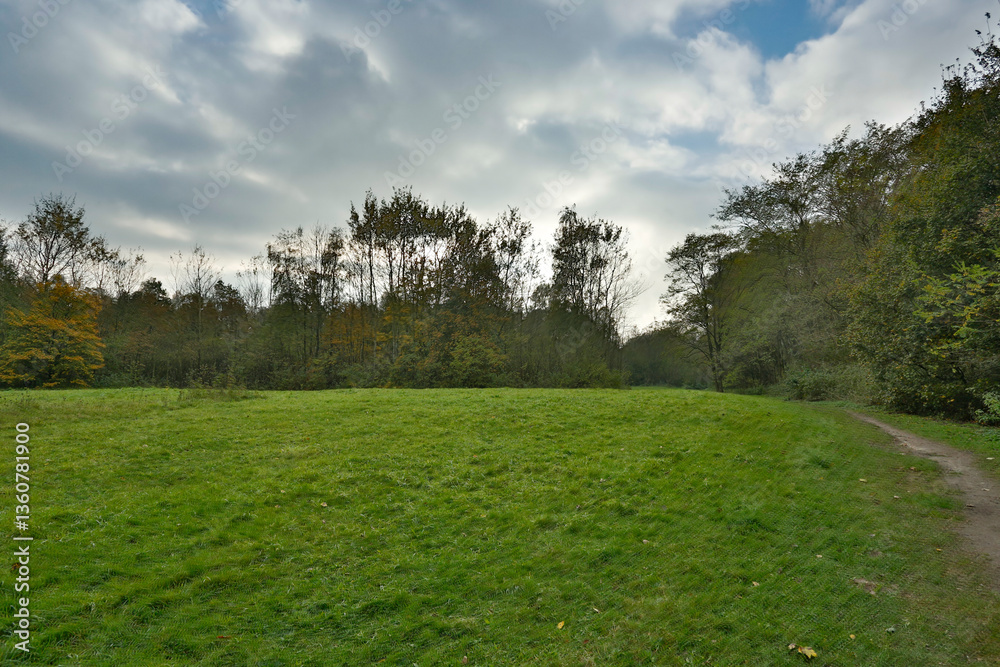 Rolling green meadow surrounded by trees at midday in a serene landscape setting ideal for relaxation and nature walks Rolling green meadow surrounded by trees at midday in a serene landscape setting ideal for relaxation and nature walks