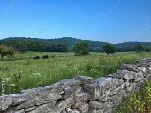 Stone Wall Tennessee Valley
