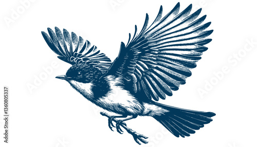 Restless flycatcher bird engraving vector illustration