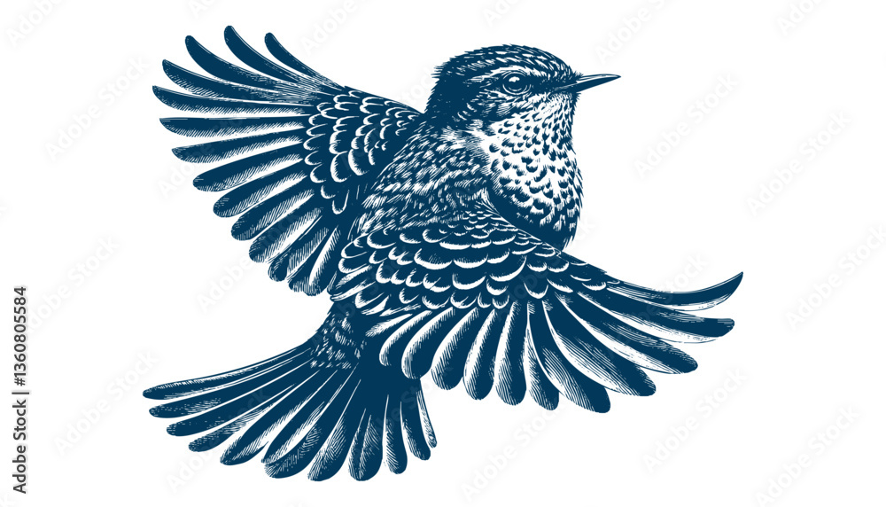 Obraz premium Restless flycatcher bird engraving vector illustration