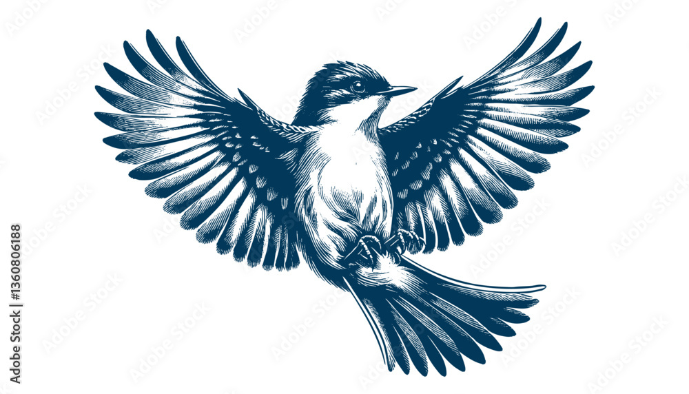 Obraz premium Restless flycatcher bird engraving vector illustration