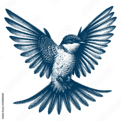 Restless flycatcher bird engraving vector illustration