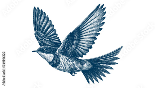 Restless flycatcher bird engraving vector illustration