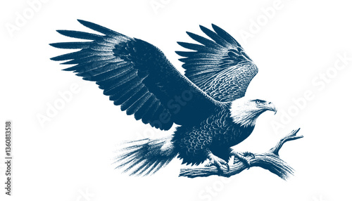 eagle engraving vector illustration
