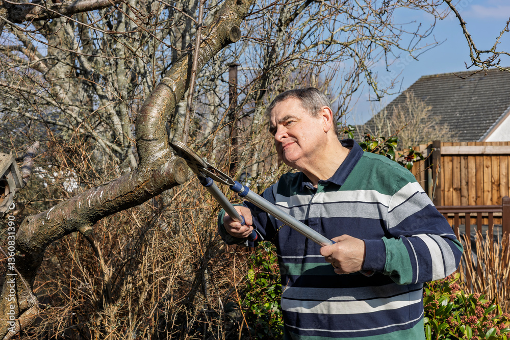 Man in Garden Pruning Water Sprout Sucker on Bare Fruit Tree Branch with Long-handled Garden Loppers Man in Garden Pruning Water Sprout Sucker on Bare Fruit Tree Branch with Long-handled Garden Loppers