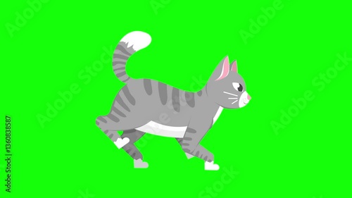 Green screen cat animation. Gray cat walking animation. Side view. Chroma key. 4K. Seamless loop. Perfect for compositing in videos, animations, or presentations requiring a cute feline element.