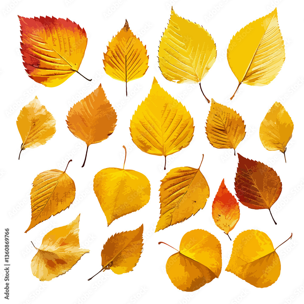 DRY LEAF ISOLATED VECTOR HAND PAINTED DRY LEAF ISOLATED VECTOR HAND PAINTED
