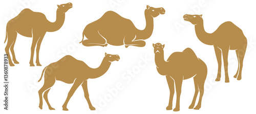 camel graphic vector set bundle silhouette illustration