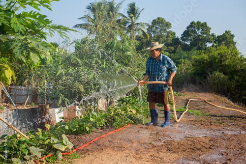 Irrigating vegetable garden rural area photography sunny day close-up sustainable agriculture