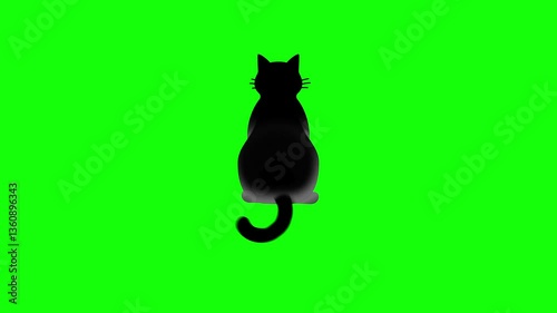 Green screen cat animation. An black cat sits with its tail gently swaying. Back view. Chroma key. 4K. Seamless loop. Perfect for Halloween-themed content and pet adoption campaigns.