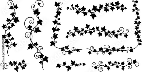 vector illustration, seamless pattern, decorative black and white curly ivy branches with leaves
