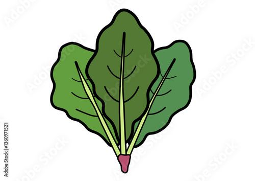 シンプルでかわいいほうれん草　夏野菜のイラスト素材