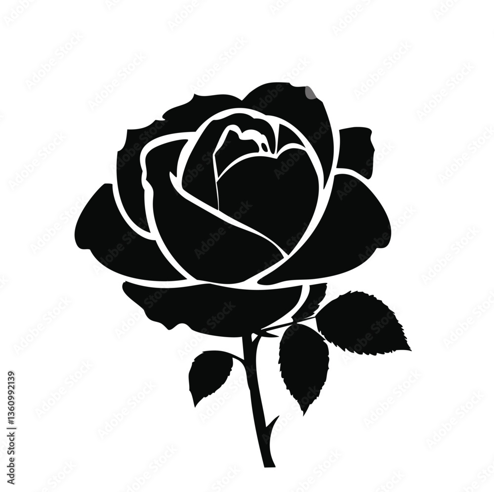 Obraz premium rose on white background