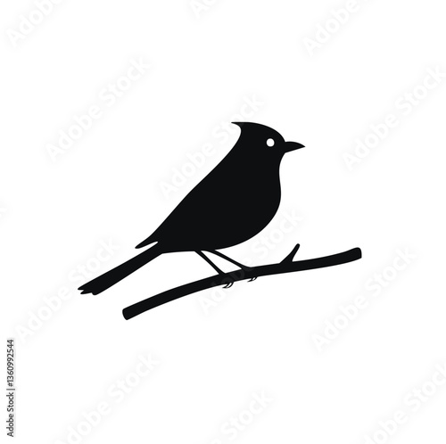 bird on a branch