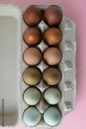 Farm Fresh Eggs