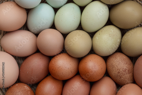 Farm Fresh Eggs