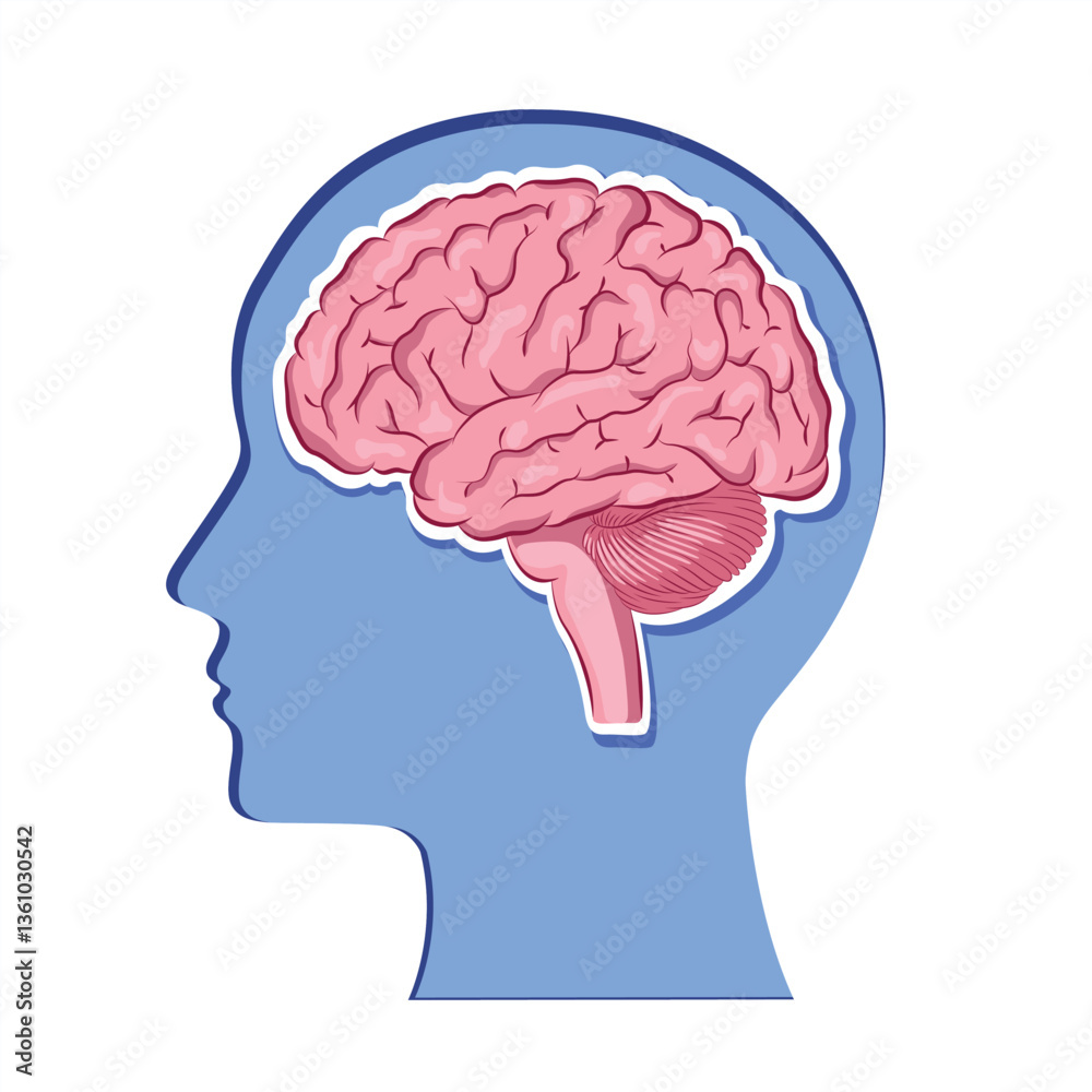 head, human brain vector illustration in relief papercut style. head, human brain vector illustration in relief papercut style.