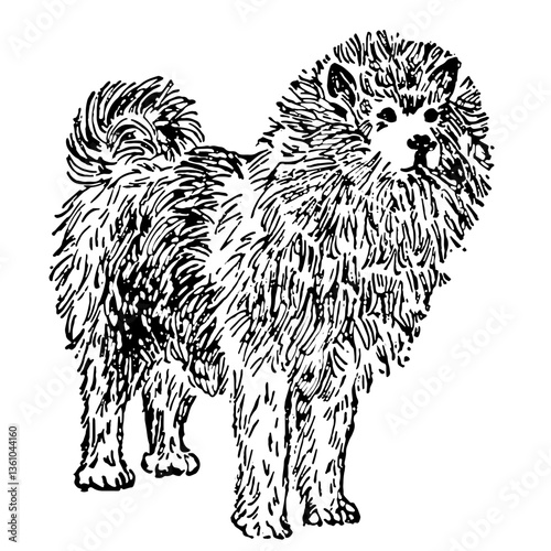 Chow Chow Dog Illustration in Vintage Timeless Style
