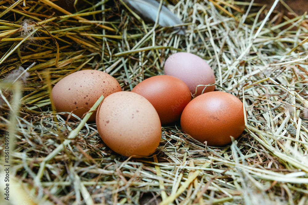 Nesting Nesting