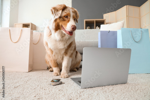 Adorable Australian Shepherd dog with shopping bags, credit cards and laptop sitting at home