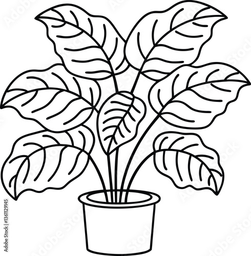 A calathea plant with broad, wavy leaves in a minimalist flowerpot