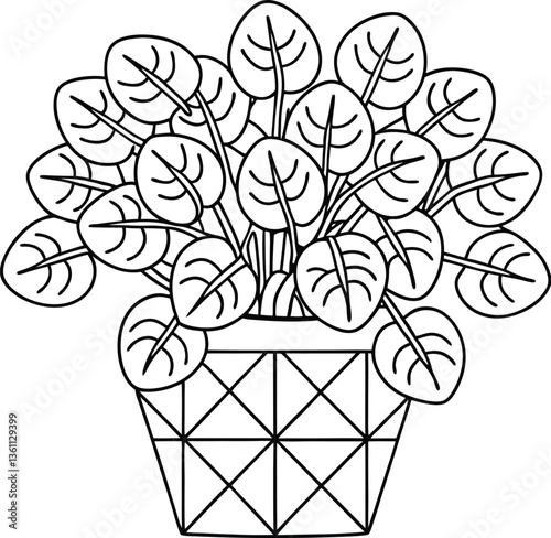A Chinese money plant (pilea) with circular leaves in a geometric planter
