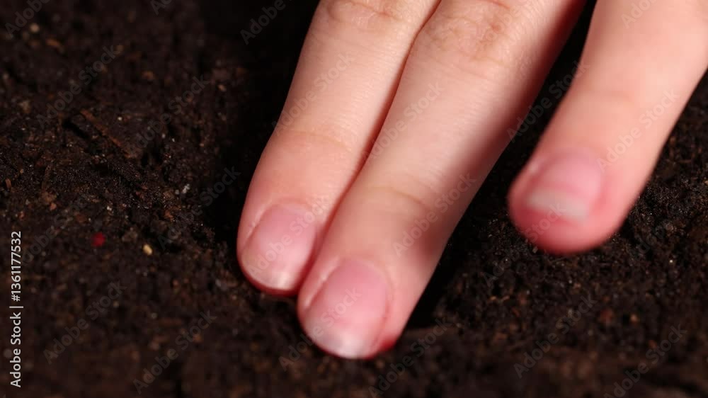 Planting a Seed in Soil with Watering Planting a Seed in Soil with Watering