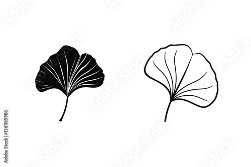 Ginkgo Biloba Leaf Illustrations Black, White, Line Art, Botanical