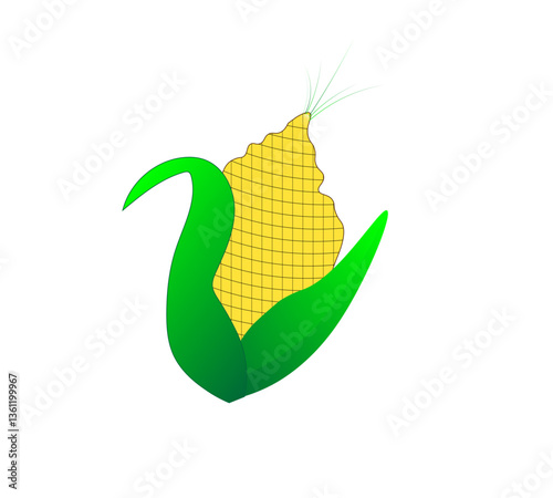ear of corn