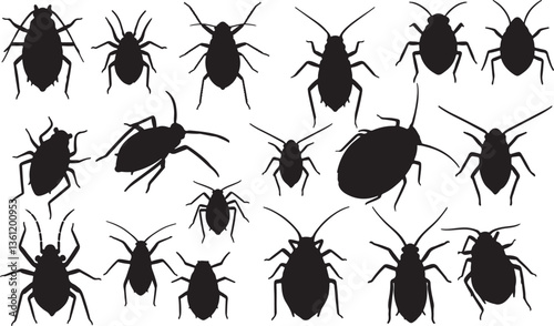 Aphid Silhouette on White Background