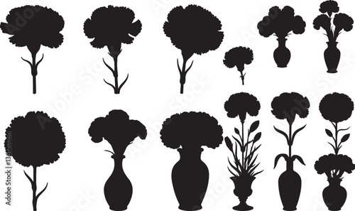 Carnation Silhouette on White Background