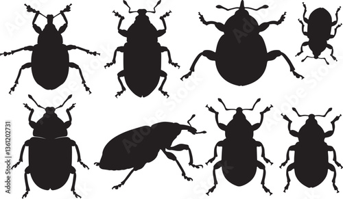 Weevil Silhouette