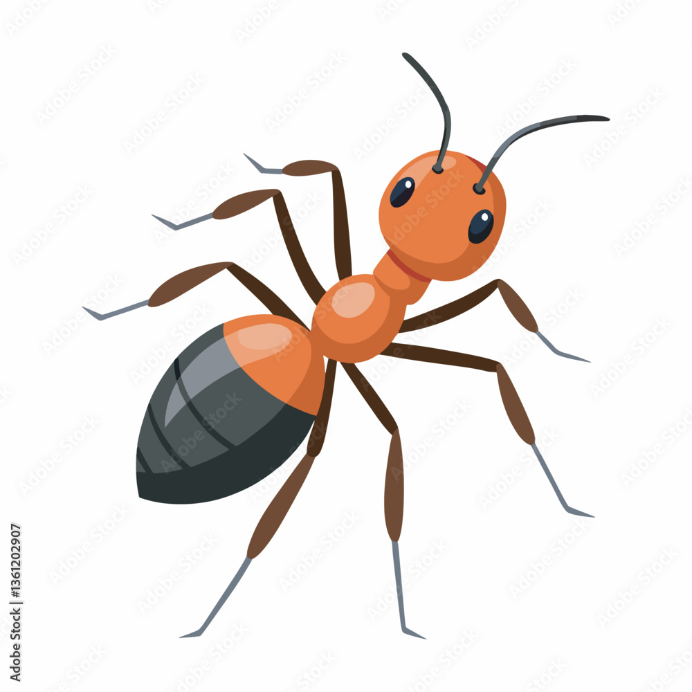 Ant vector and illustration. Ant vector and illustration.
