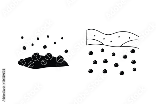 Seed Germination Soil Types and Water Absorption Process